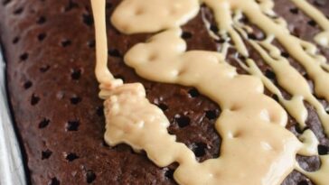 Chocolate Peanut Butter Poke Cake Copie