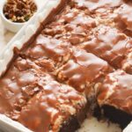Mississippi Mud Cake Copie