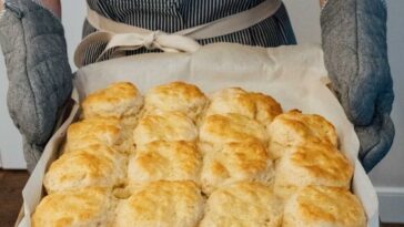 The Most Fluffy and Buttery Biscuits Ever Copie