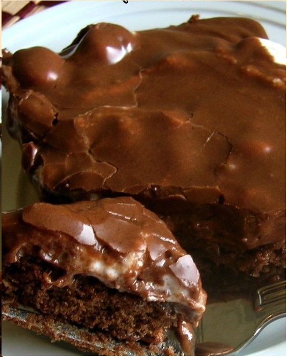 Mississippi Mud Cake Copie