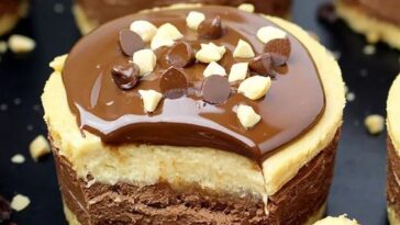 No Bake Chocolate Peanut Butter Mini Cheesecake Copie