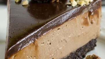 No Bake Nutella Cheesecake Copie