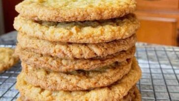 Oatmeal Coconut Cookies Copie