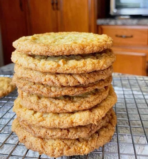 Oatmeal Coconut Cookies Copie