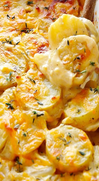 Scalloped Potatoes 1 Scalloped Potatoes Copie