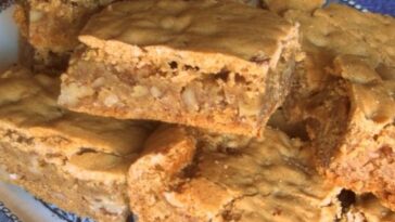Southern Pecan Chewies Copie