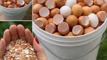 Stop throwing them away