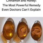 Cinnamon and Honey