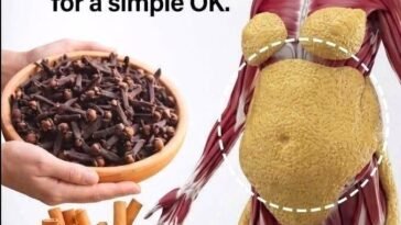 Cloves and Cinnamon for Belly Fat What They Can and Cannot Do