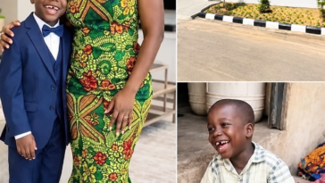 From Humble Beginnings to a Beautiful Home A Story That Reminds Us Never to Give Up