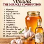 Garlic Honey Vinegar Remedy Poster