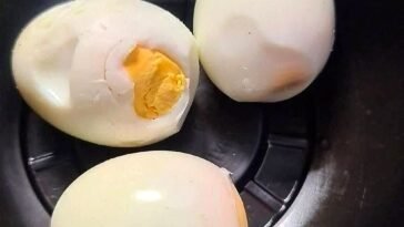 What Happens When You Eat Eggs for Breakfast Every Morning
